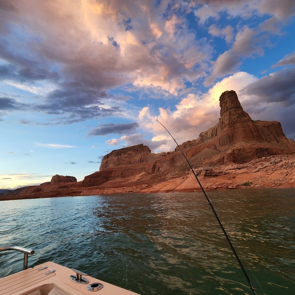 Meet your Posher, Alyssa - Picture 6 of 8